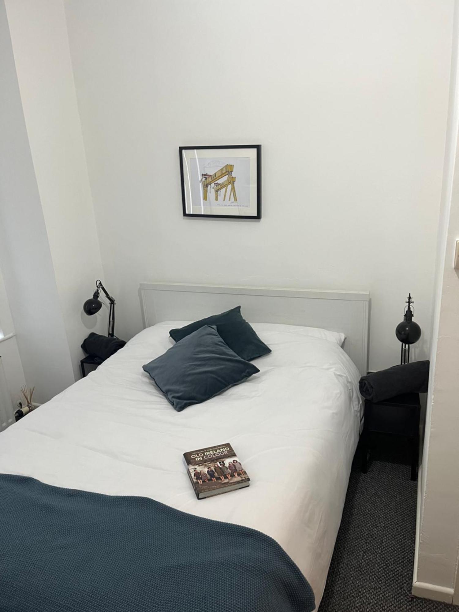 Loganberry Apartment Belfast Bagian luar foto