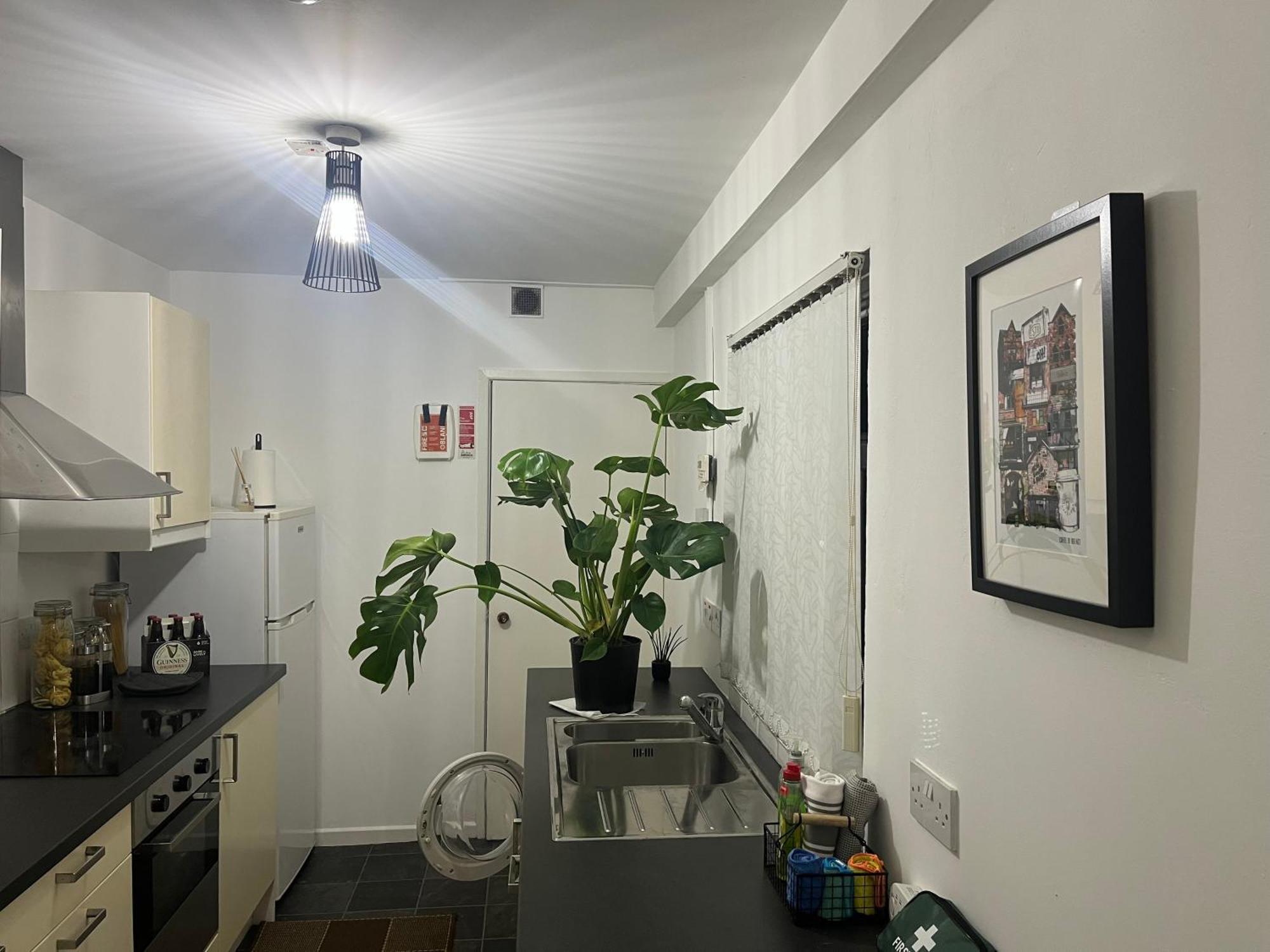 Loganberry Apartment Belfast Bagian luar foto